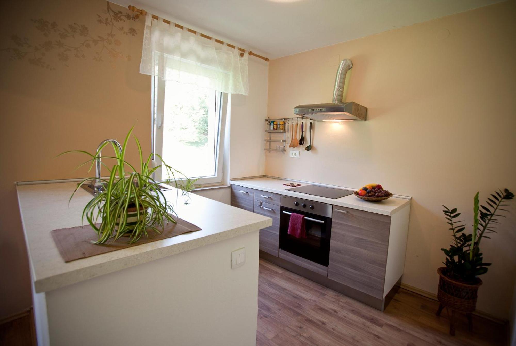 Apartments Soca コバリード エクステリア 写真