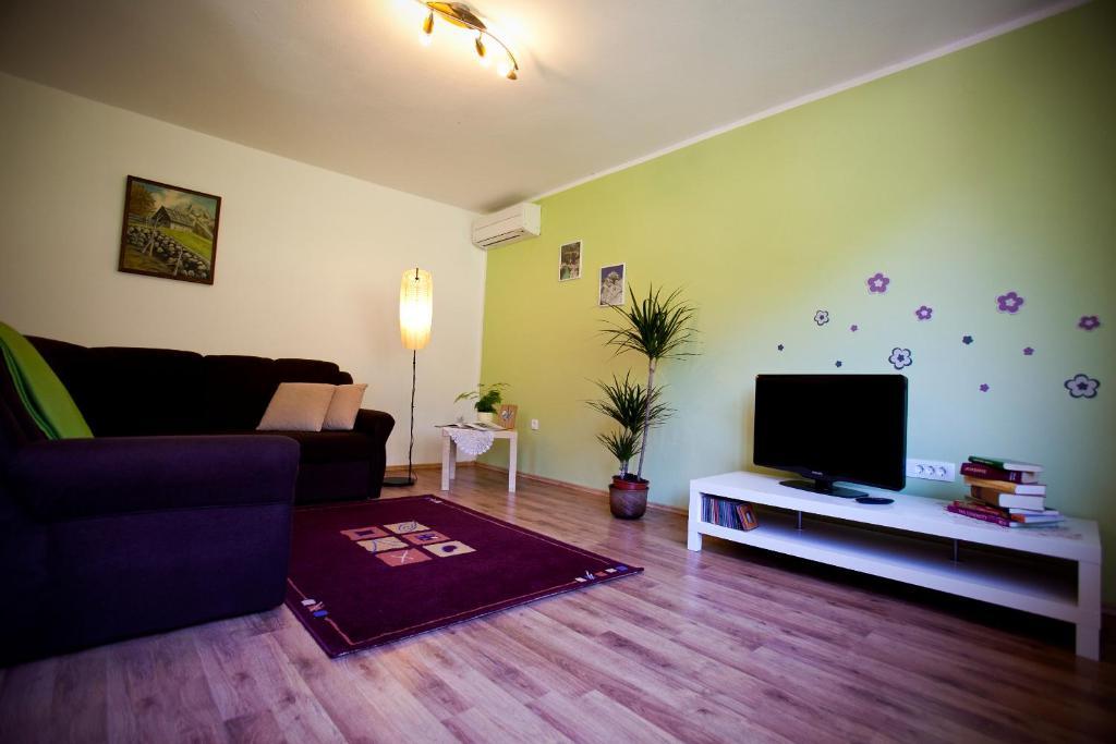 Apartments Soca コバリード エクステリア 写真